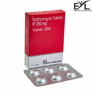 YANIC 250 1