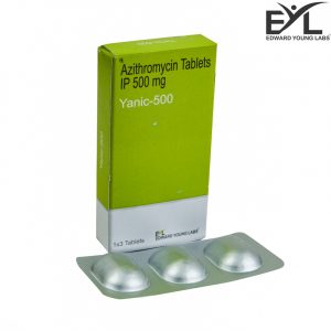 YANIC 500 1
